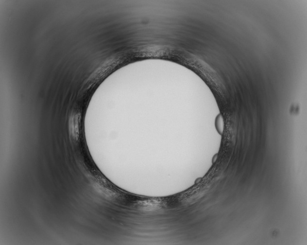 X0000097980118200804211048