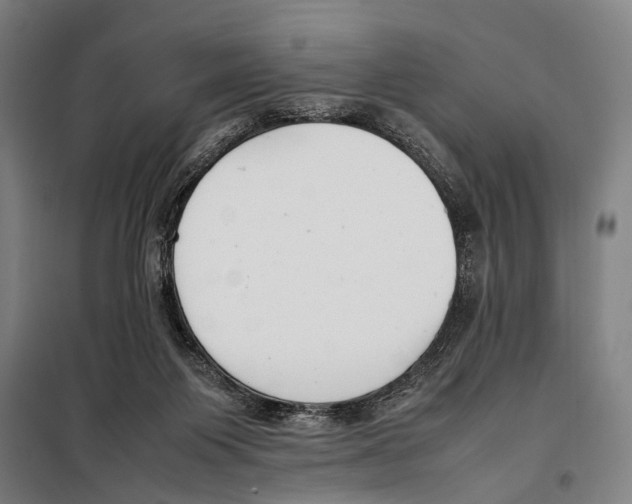 X0000097980119200804211048