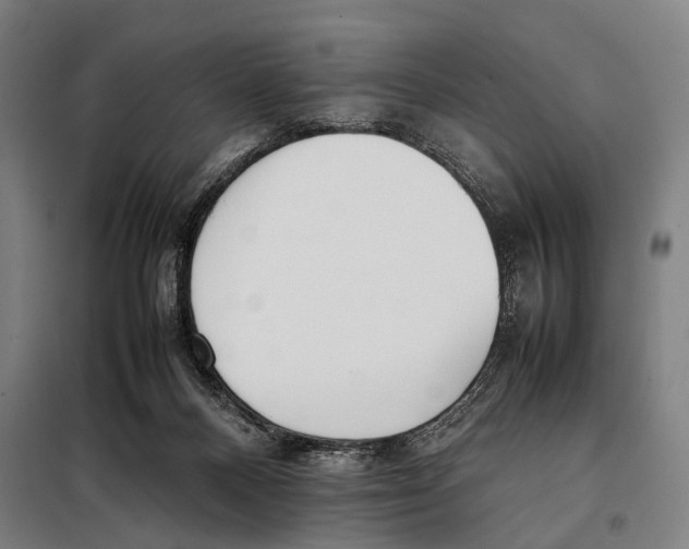 X0000097980120200804211048