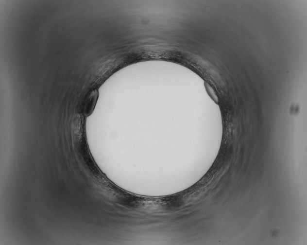 X0000097980121200804211048