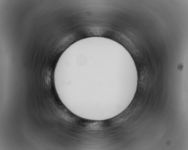 X0000097980122200804211048