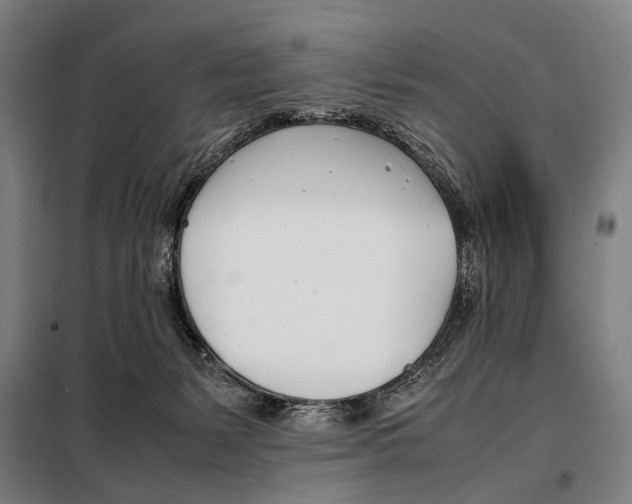 X0000097980127200804211048