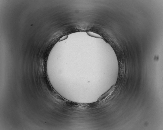 X0000097980128200804211048