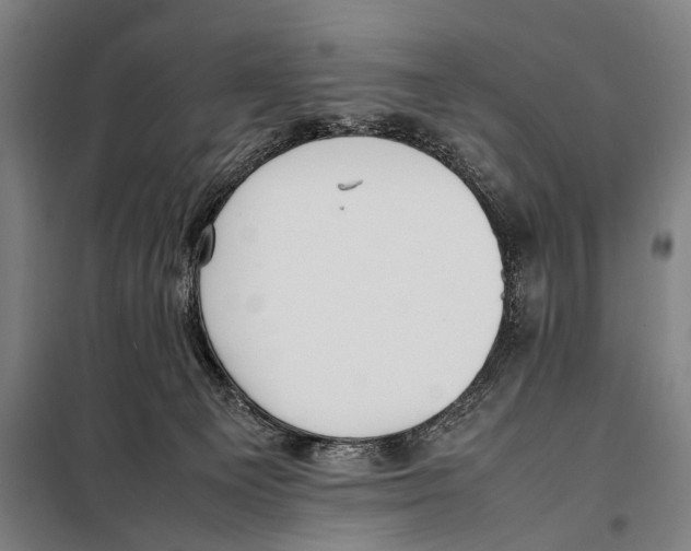 X0000097980129200804211048