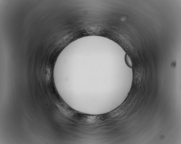 X0000097980130200804211048