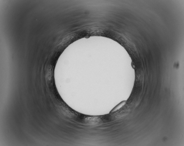 X0000097980133200804211048