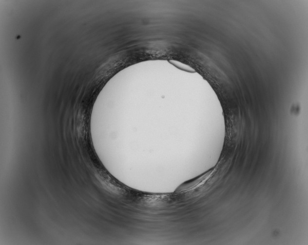 X0000097980136200804211048