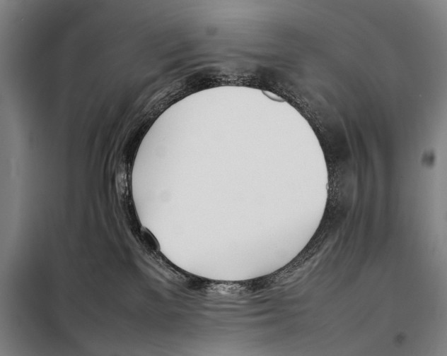 X0000097980137200804211048