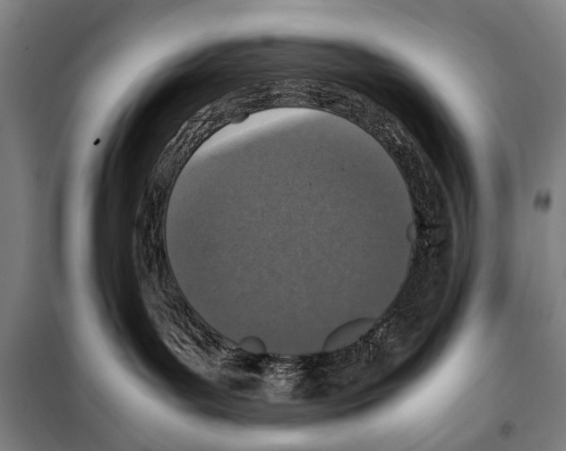 X0000097980143200804211048