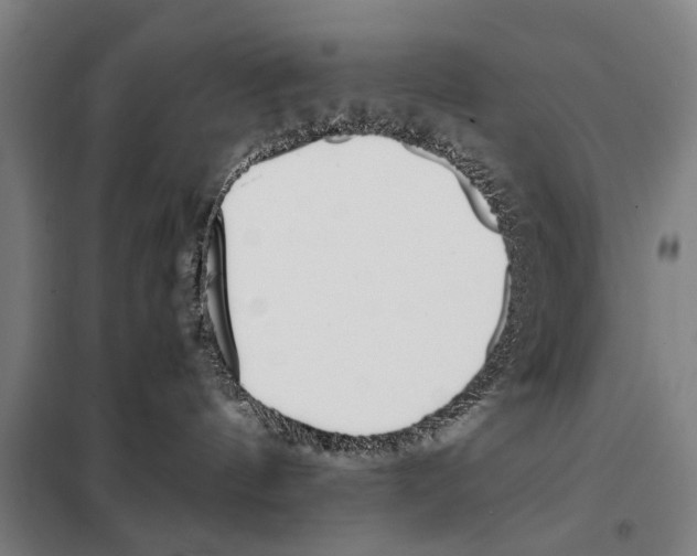 X0000097980144200804211048