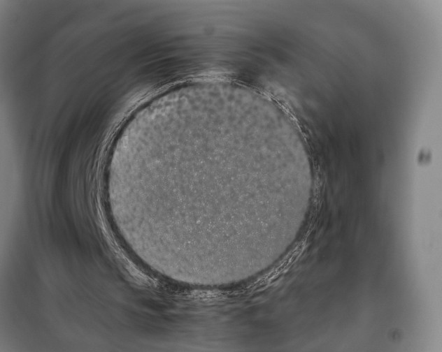 X0000097980145200804211047