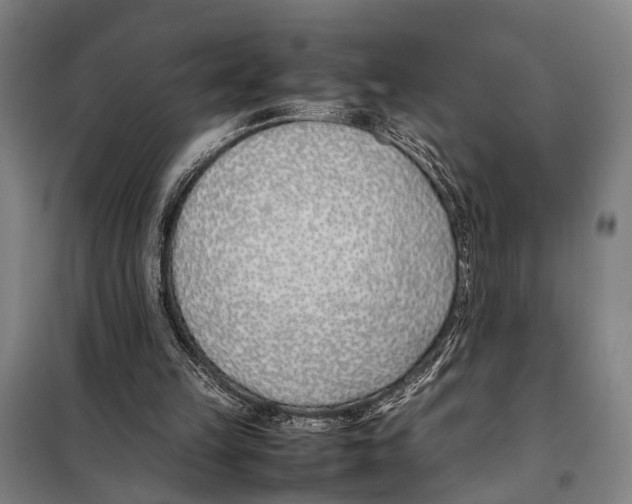 X0000097980149200804211047