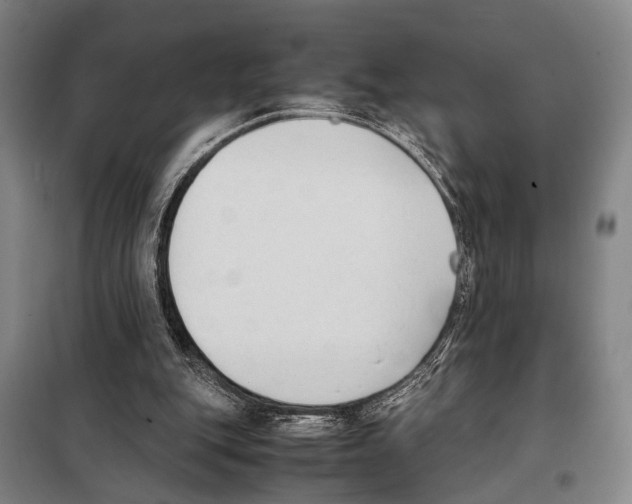 X0000097980151200804211047