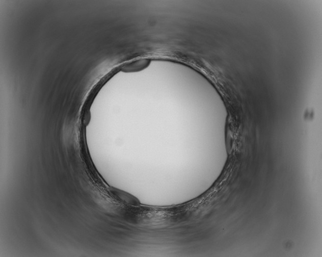 X0000097980152200804211047