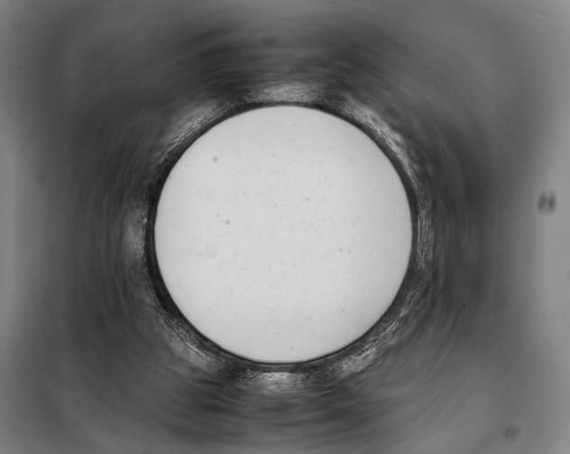 X0000097980153200804211047