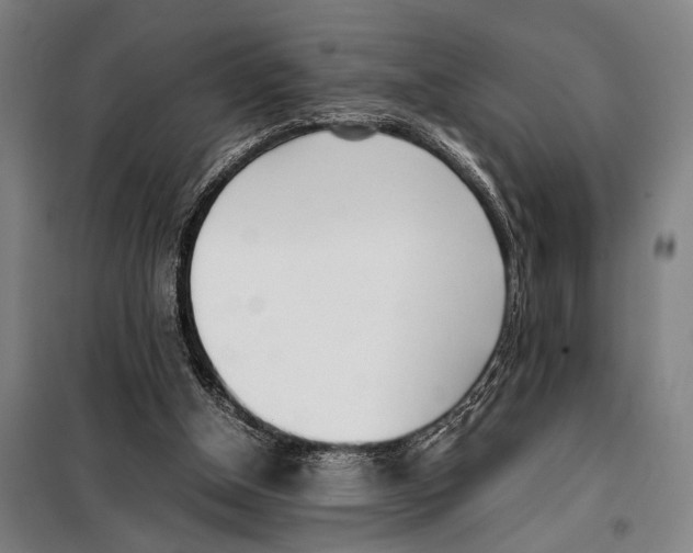 X0000097980154200804211047