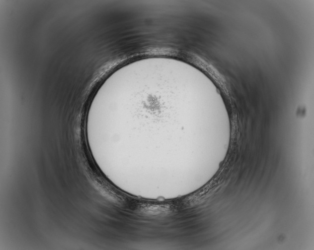 X0000097980155200804211047