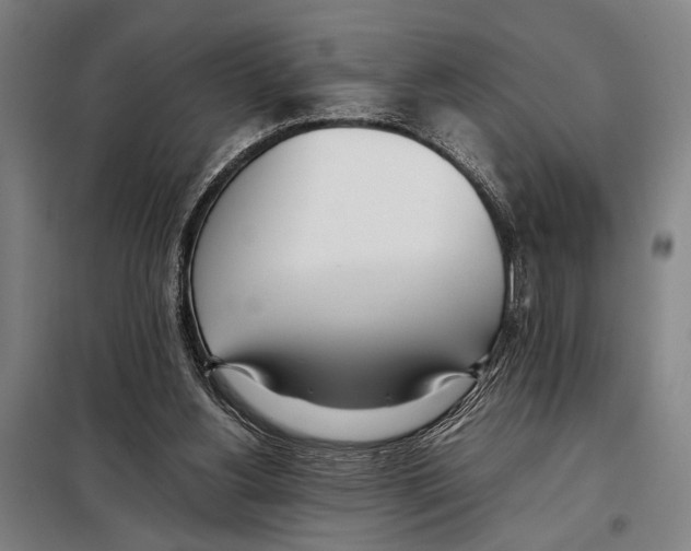 X0000097980156200804211047