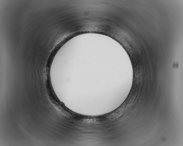 X0000097980160200804211047