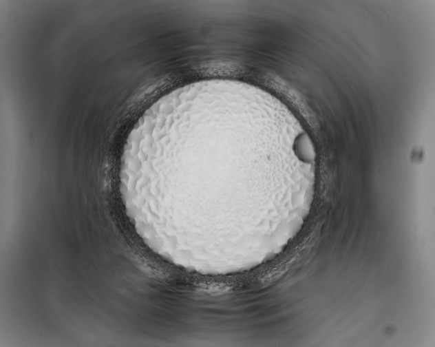 X0000097980161200804211047