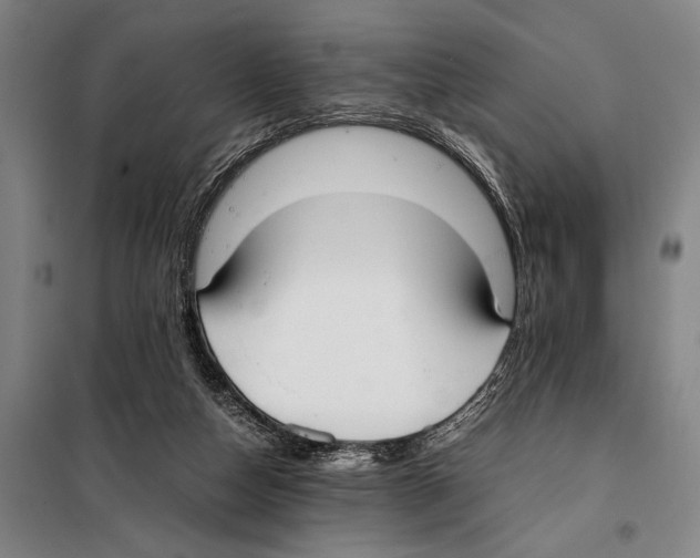 X0000097980162200804211047