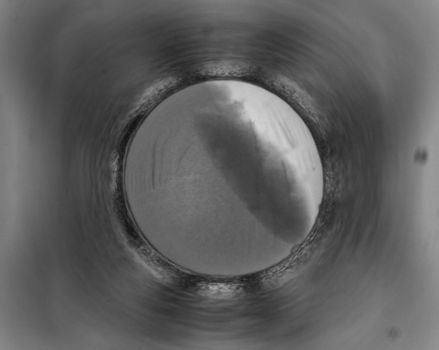 X0000097980163200804211047