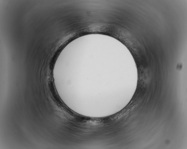 X0000097980164200804211047