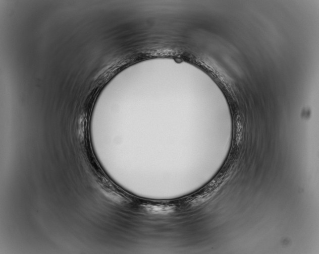 X0000097980165200804211047