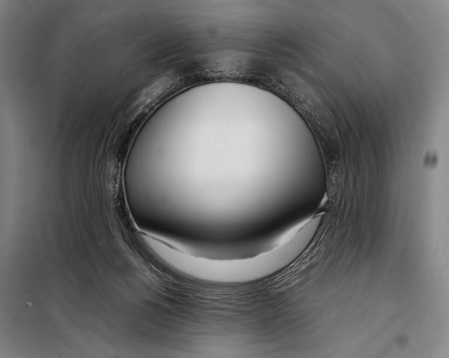 X0000097980168200804211047