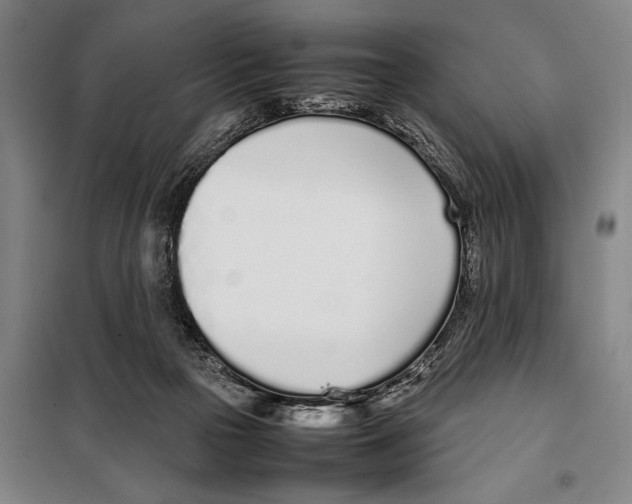 X0000097980169200804211047