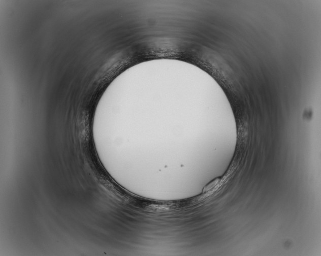 X0000097980170200804211047