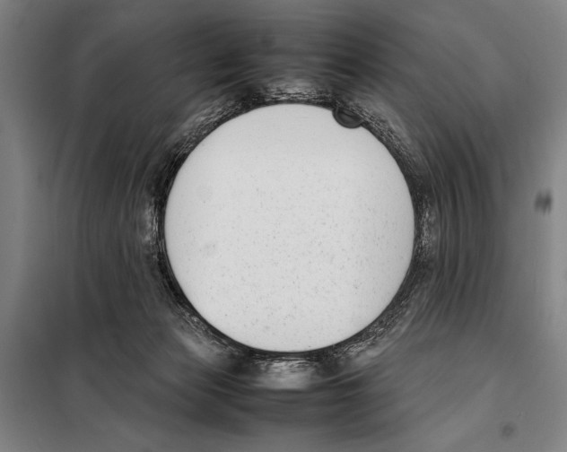 X0000097980173200804211047