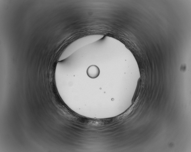 X0000097980174200804211047