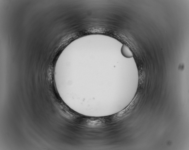 X0000097980175200804211047