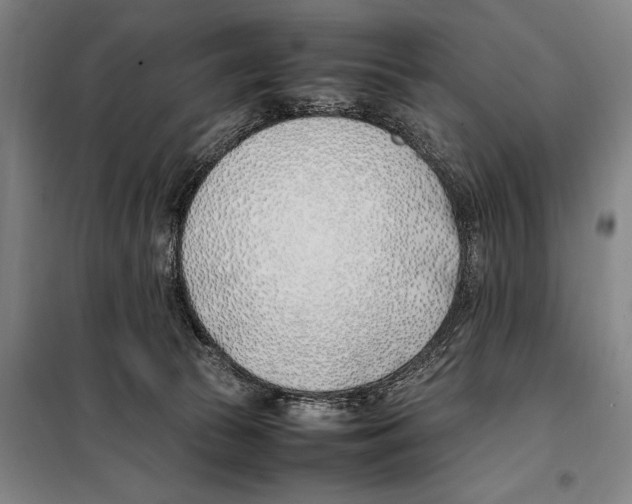 X0000097980177200804211047