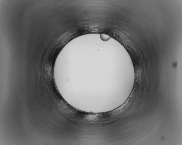 X0000097980178200804211047