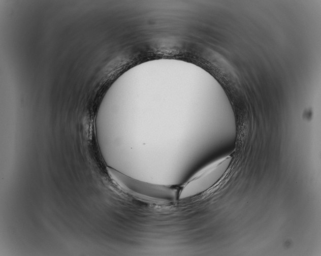 X0000097980180200804211047