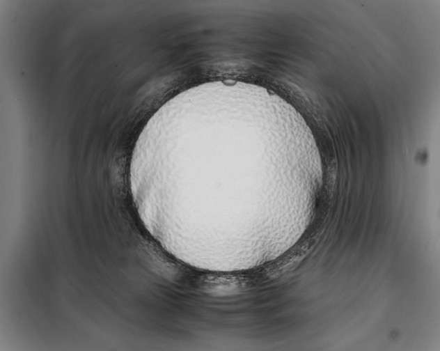 X0000097980181200804211047