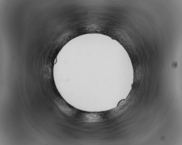 X0000097980183200804211047