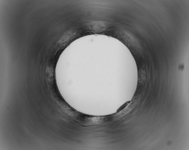 X0000097980184200804211047