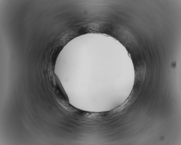 X0000097980186200804211047