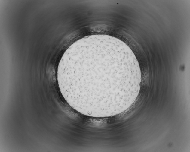 X0000097980187200804211047