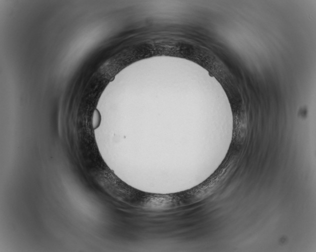 X0000097980189200804211047