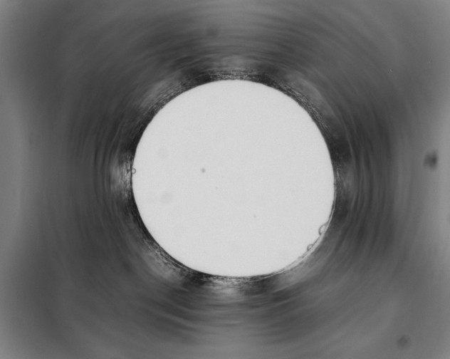 X0000097980190200804211047