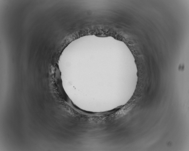 X0000097980192200804211048