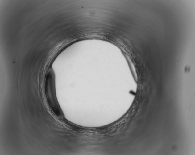 X0000097980193200804211047