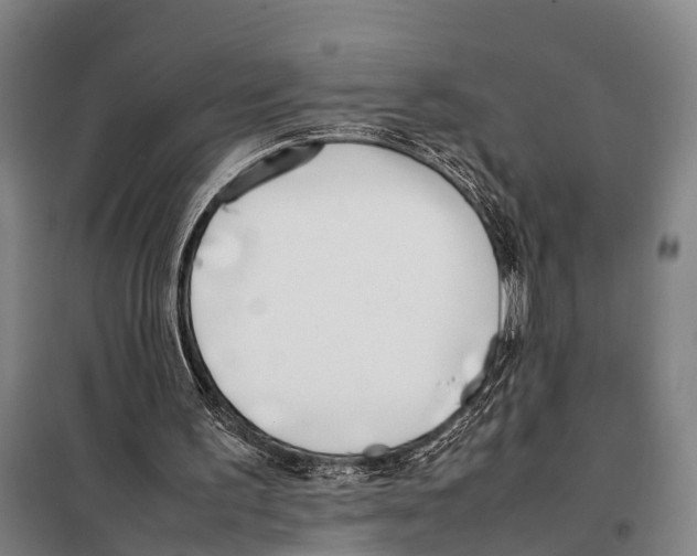 X0000097980195200804211047