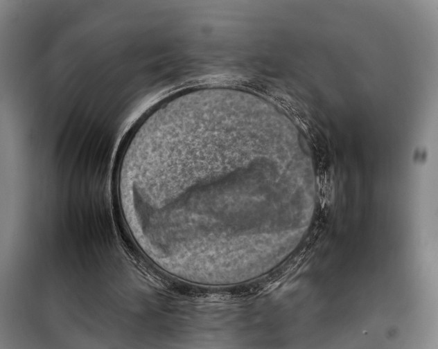 X0000097980196200804211047