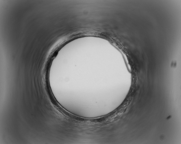 X0000097980197200804211047