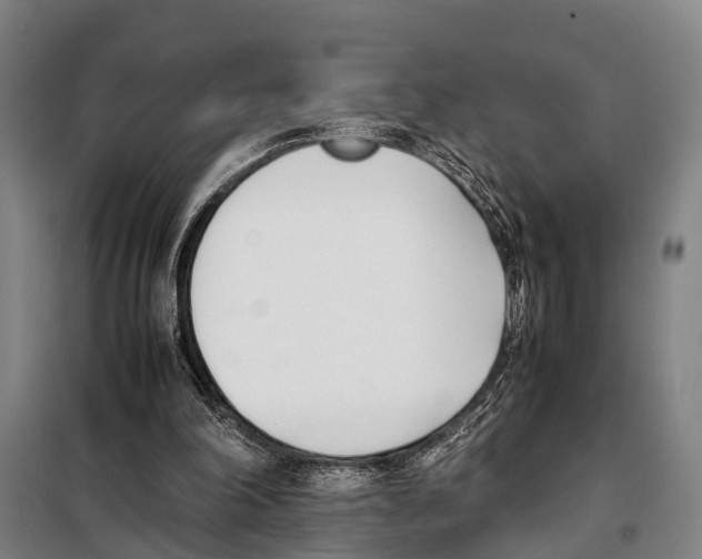 X0000097980198200804211047